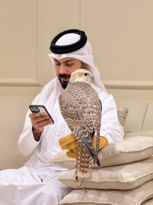 Ibrahim Al-Haidos 2.jpeg
