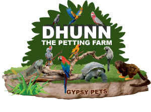 20260314235232!Dhunn – The Petting Farm.png